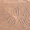 Lineas de Nazca